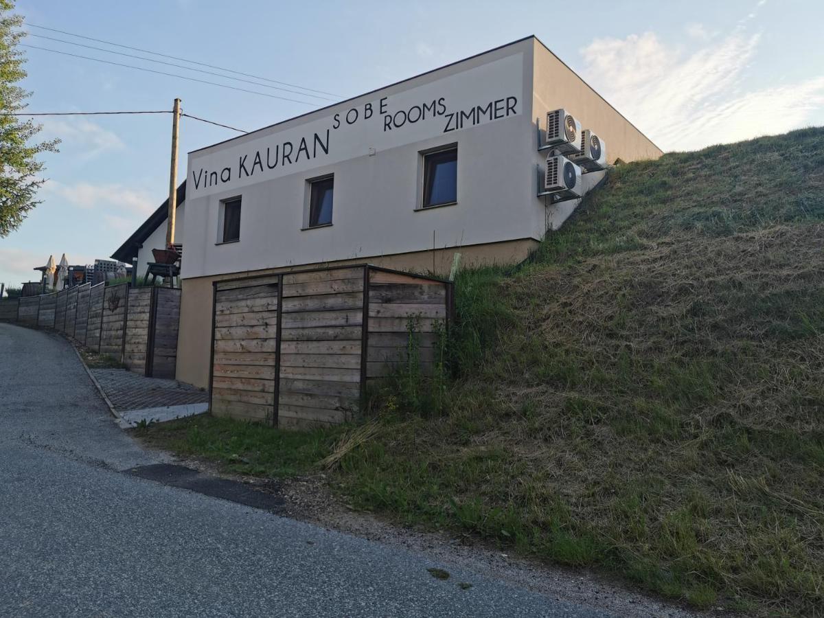 Zgornji Jakobski Dol Sobe, Rooms B&B - Vina Kauran מראה חיצוני תמונה